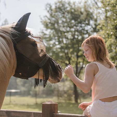 #Glamping@De Verloren Sinjoor Bladel Eksteriør billede