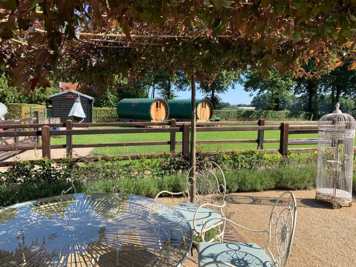 #Glamping@De Verloren Sinjoor Bladel Eksteriør billede