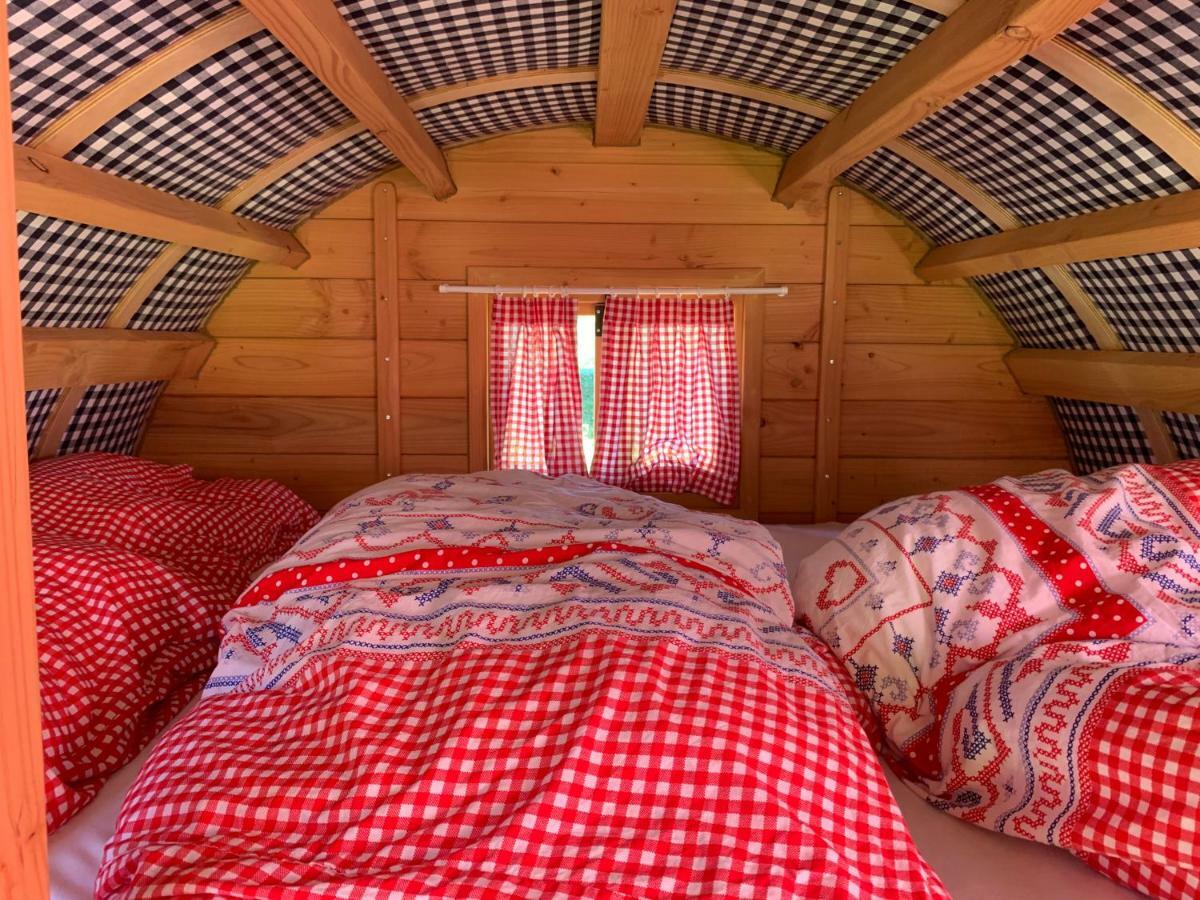 #Glamping@De Verloren Sinjoor Bladel Eksteriør billede
