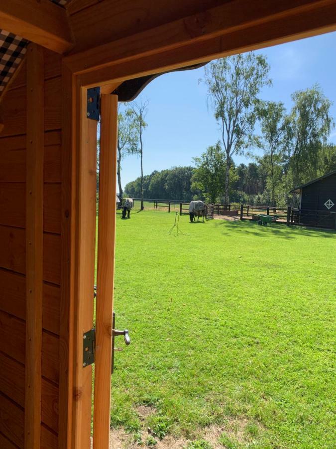 #Glamping@De Verloren Sinjoor Bladel Eksteriør billede
