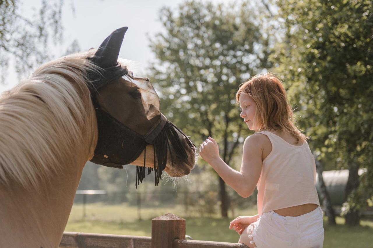 #Glamping@De Verloren Sinjoor Bladel Eksteriør billede