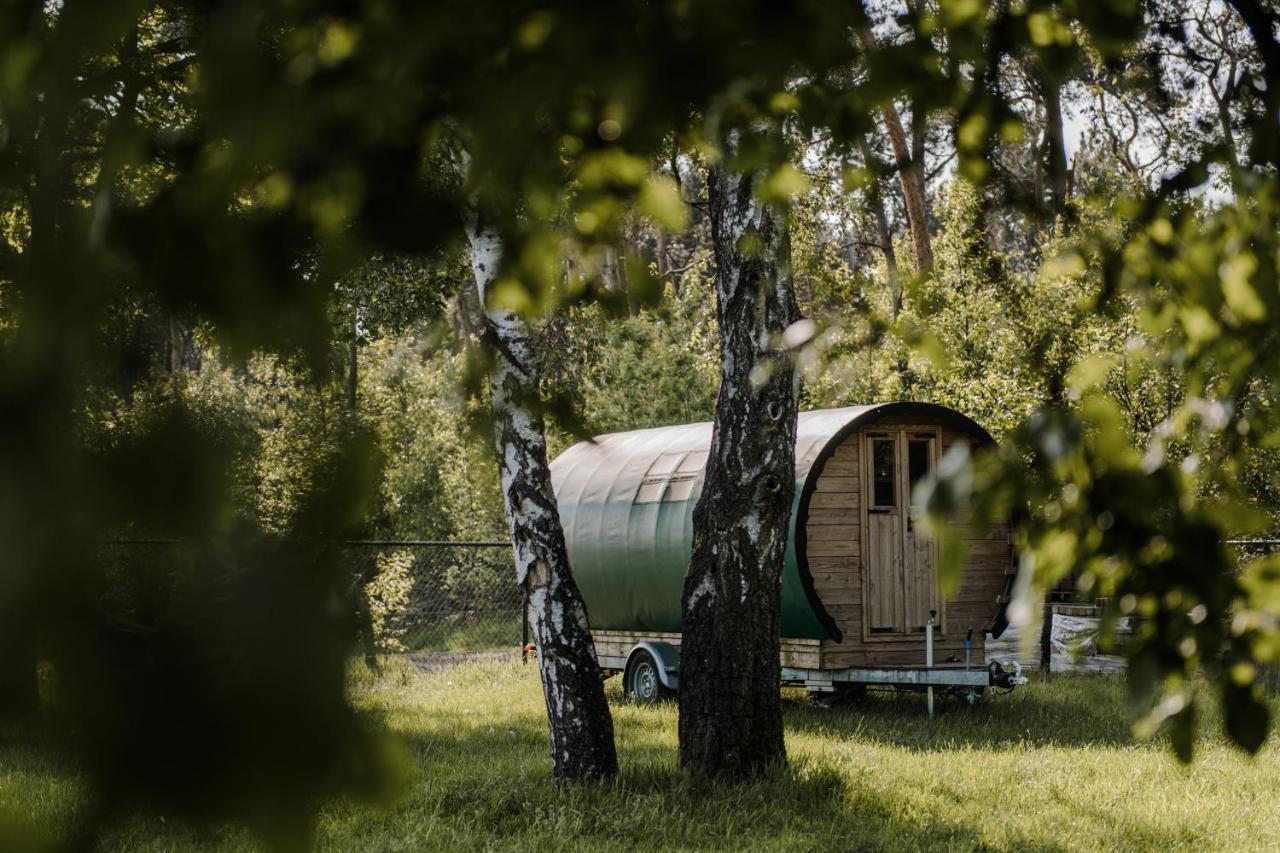 #Glamping@De Verloren Sinjoor Bladel Eksteriør billede